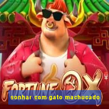 sonhar com gato machucado